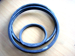 seal ring