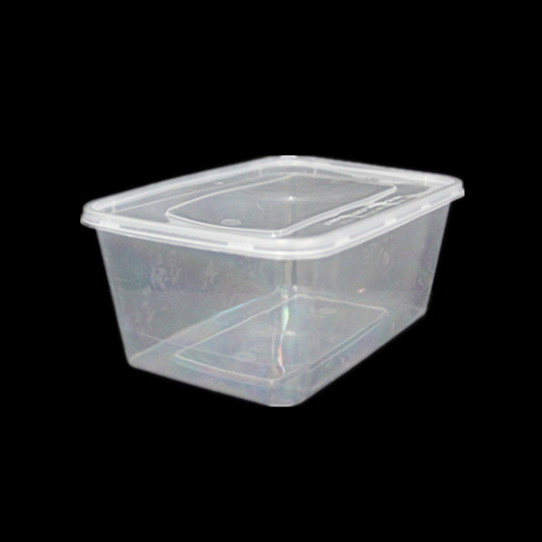 PP Disposable and Microwavable Food Container 