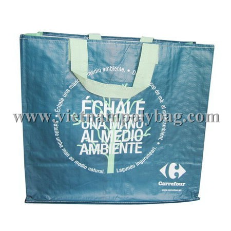 Eco friendly PP woven shopping bag– vietnampolybag.com