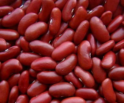 红芸豆 