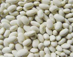 白芸豆 