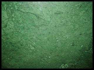 Мэйбл WM013 зеленый мрамор
