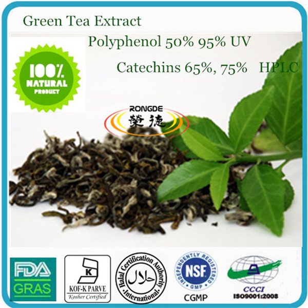 Green Tea P.E. 