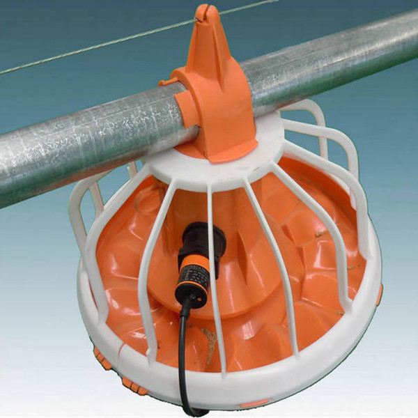  Feeding System for Poultry Farming Equipment