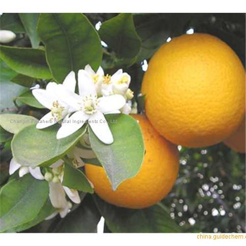 Citrus Aurantium  Extract