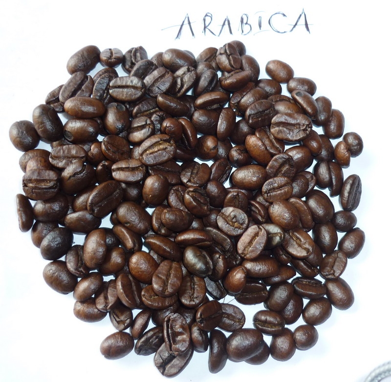 Жареный Арабика кофе в зернах