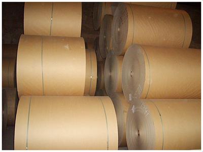 supply kraft liner paper