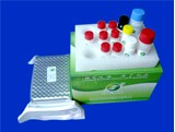 Benzyl penicillin ELISA Test Kit