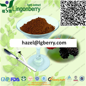 Mulberry extract powder