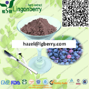 Blueberry juice powder