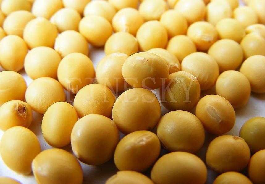 Pure natural soybean extract powder as nutrient additives