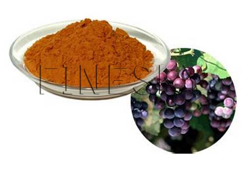 Finesky olive leaf extract powder functional supplement