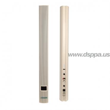 DSP1501 100W Phased Line Array Speaker