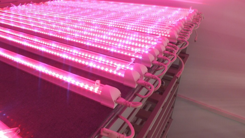 LED植物生长灯管