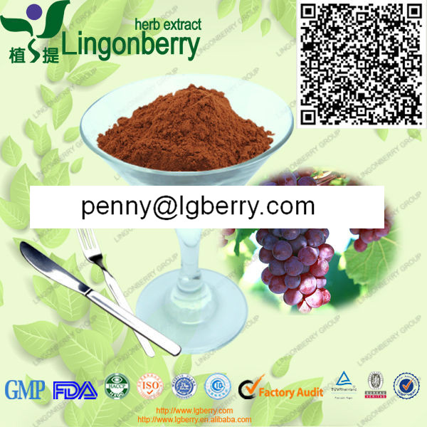 Grape Seed Extract / Grape Seed Proanthocyanidins