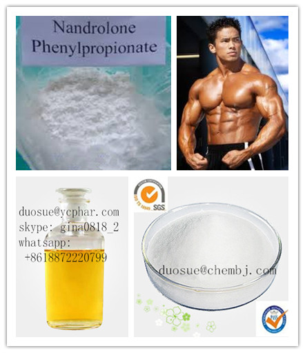 Nandrolone phenylpropionate (Steroids) 