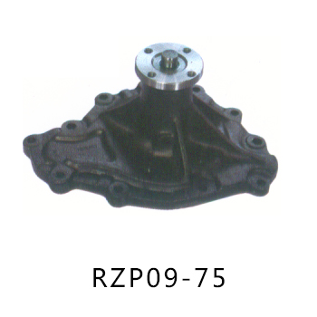 RZP09-75