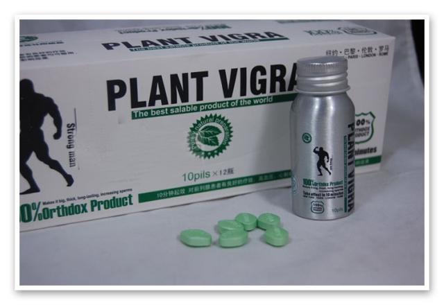 Plant Vigra Natural Herbal Top Good Male Enhancer Sex Productsmedical Supplieshealth And Medical 0544