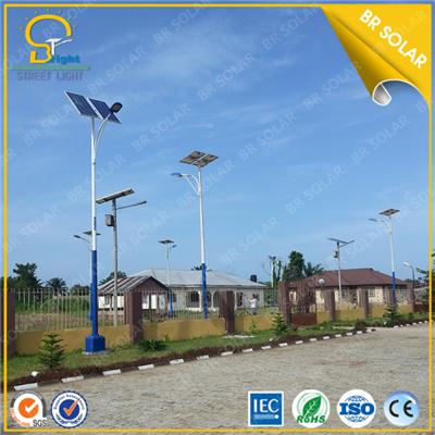 2015 Newest China 60W solar light with 9M height steel pole design
