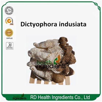 Dictyophora Indusiata Экстракт