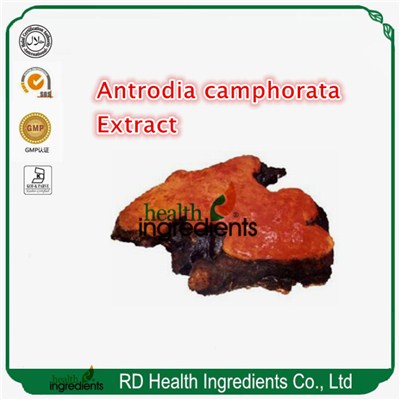 Antrodia Camphorata Extract