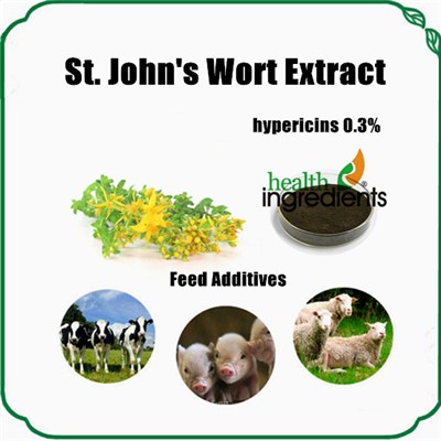 St. John's Wort Extract