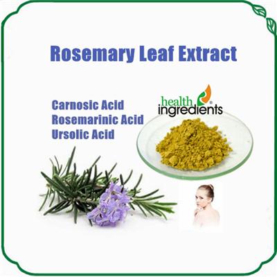 Rosemary Extract