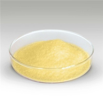 Ginger Extract Powder