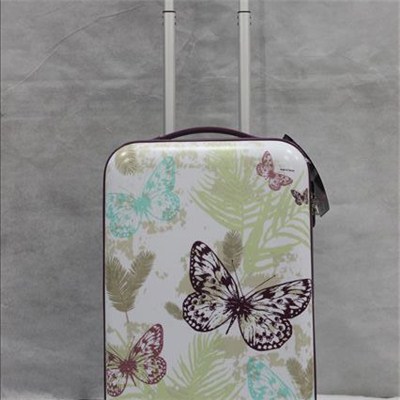 Printed Abs Trolley Case