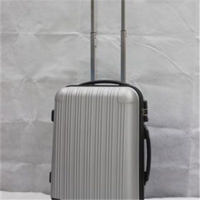 Abs Spinner Luggage