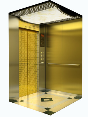 3,4,5 Persons Small Residential Lift Elevator