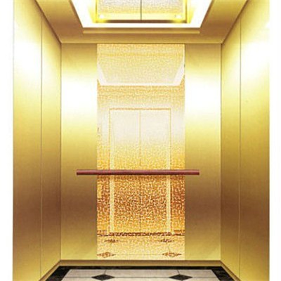 VVVF Elegant Home Elevator