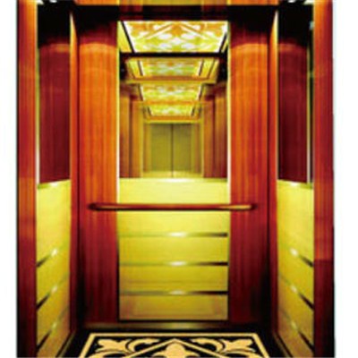 Unique Design Home Elevator