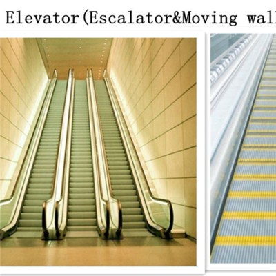 Supermarket Moving Walks Escalator