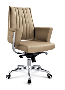 Leather Chair HX-5B9005