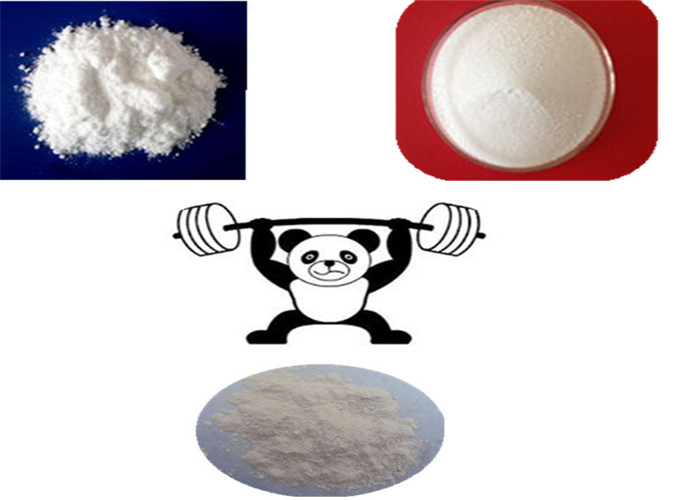 Quality Fluoxymesterone Halotestin Steroid Powder Testosterone Hormone 
