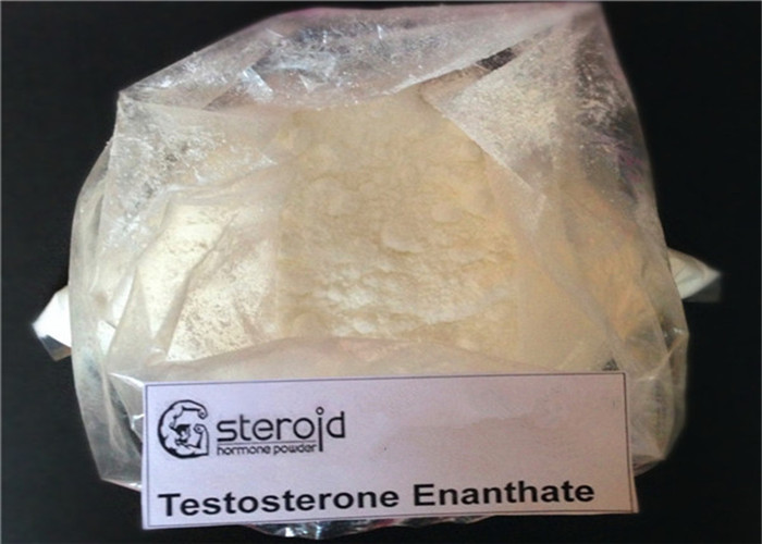 Pharmaceutical Grade Testoserone enanthate Fine Chemicals Steroid Powder Lab Supplying 
