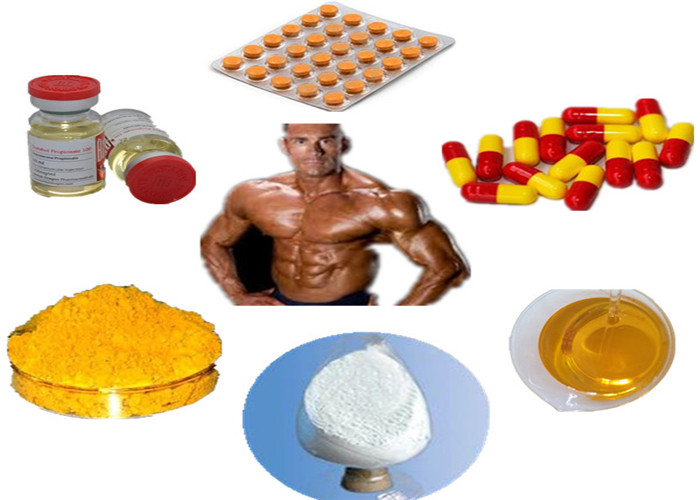 Nandrolone Phenylpropionate for Bodybuilding Powder Injectable Steroids Dosage Usage