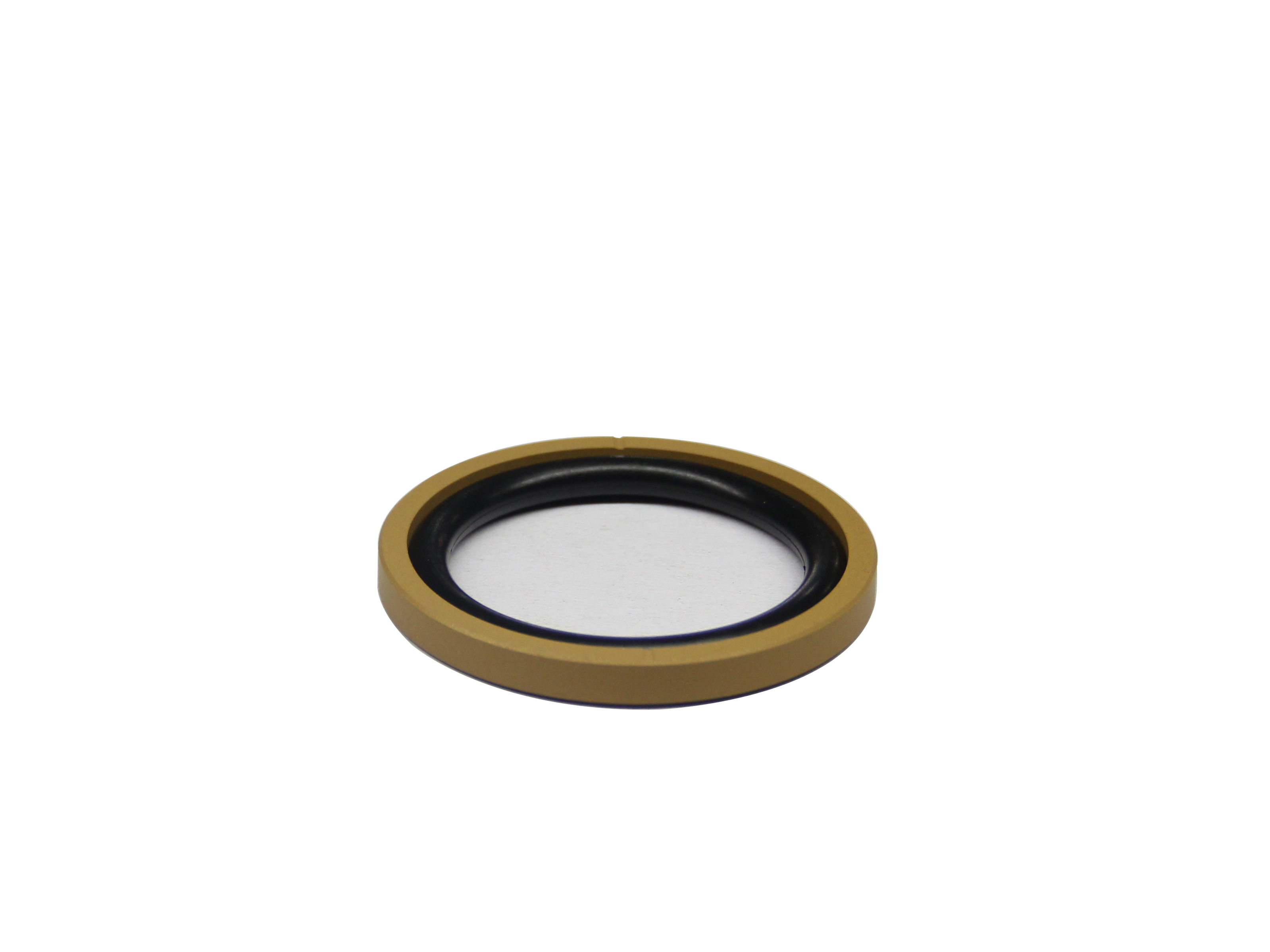 Bronze and PTFE Seal Glyd Ring			