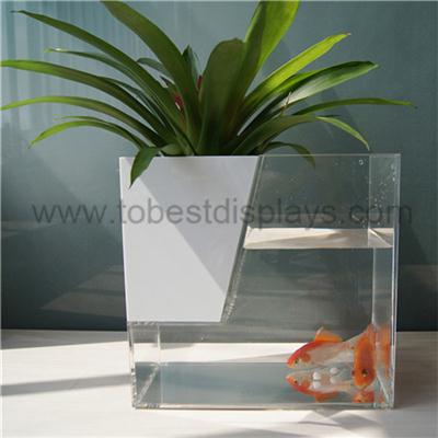 Acrylic Fish Tank