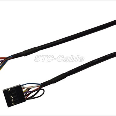 Black JST To Dupon Wire Harness Cable