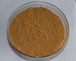 Powdered Chinese Hawthorn Extract