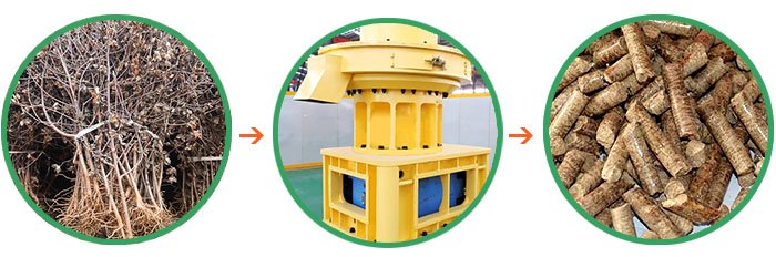 China Pellet Machine/Small Pellet Mill/Pellet Machine