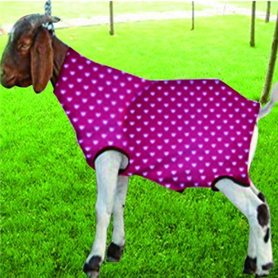 SMP1007 Lamb And Goat Blanket