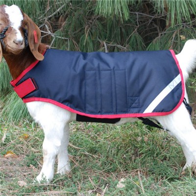 SMP1006 Goat Blanket For Show Goats