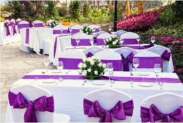 Purple Stain Chair Sashes