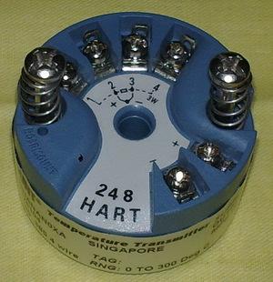 Temperature transmitter for common Single Point measurement