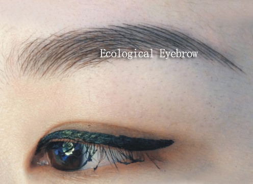 Is it easy to learn permanent makeup technique ?