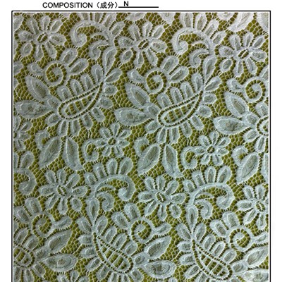 100%Nylon Lace Fabric (R2101)