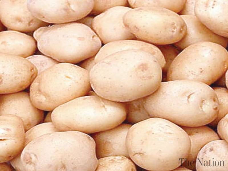 Fresh good quality potato